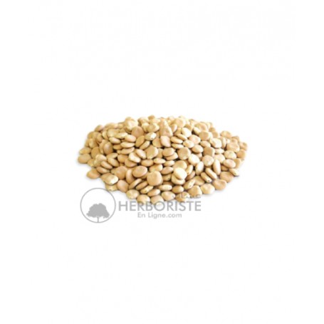 Graines de Soja - 100g - بذور الصوجا أو الصويا