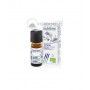 Huile Essentielle d'Hysope Bio (Hyssopus officinalis) - 10 ml