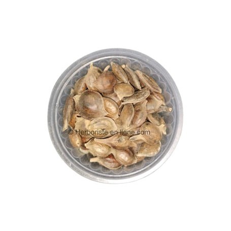 Graines de Salaha : Blanchiment Naturel et Soin des Dents - 20g - بذور الصلاحة