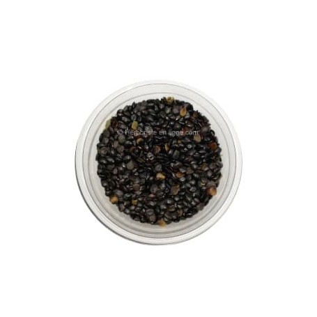 Hba - Haba Kahla - graines el baraka - graines de Nigelle Sativa d'Arabie Saoudite - 50g- الحبة الكحلة