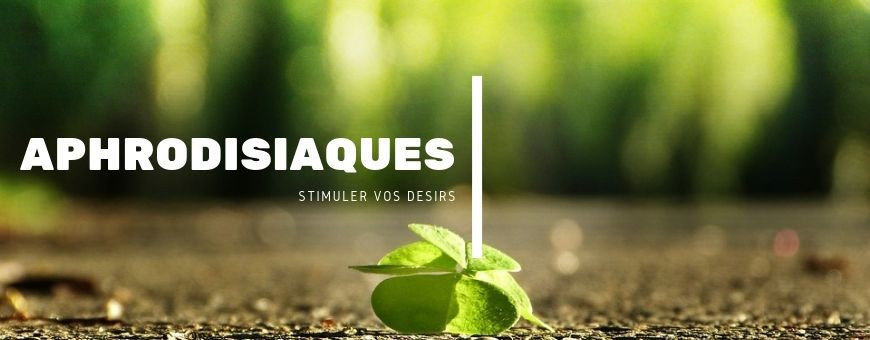 Catégorie Hennés - herboriste en ligne : Henné Naturel En Feuille - Awrak lhana - 20g - أوراق الحنة , Encens Crème - Ralia - ...